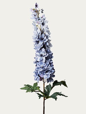 Delphinium Spray