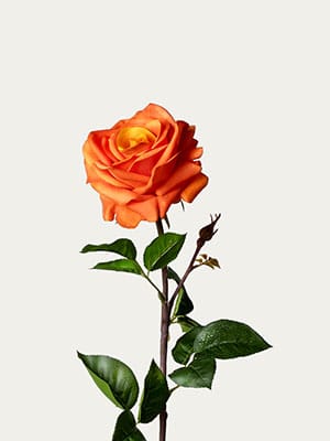 Real-Touch Rose