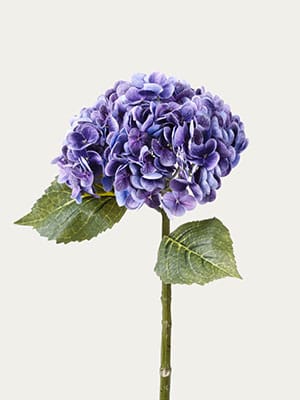 Purple Hydrangea (Real touch)